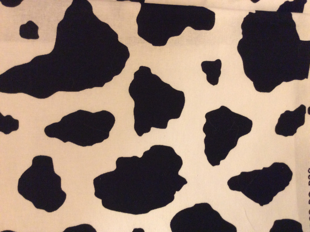 Large black spots on white like a Holstein Cow