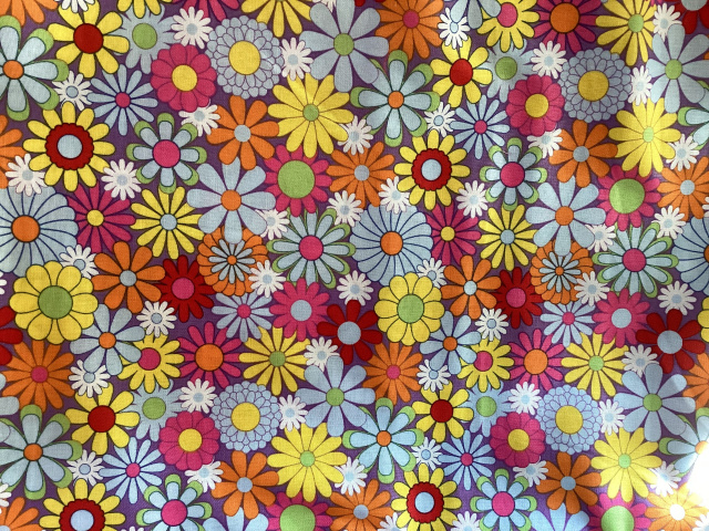 Daisies in assorted bright happy colors reminiscent of the 60’s