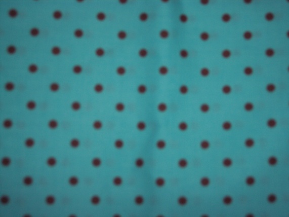 Chocolate Dots on Aqua 