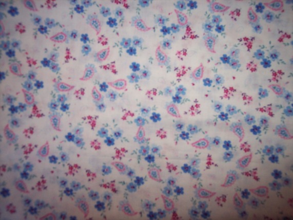 Petite Pink & Blue Paisley on white