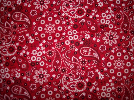 Red/white/black paisley Bandana Fabric