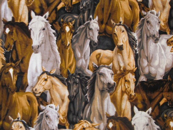 Wild Horses in a herd.  Brown/white/black