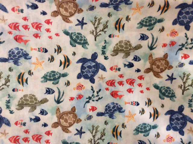 Sea turtles, fish and coral in primary shades on blue/white shaded background