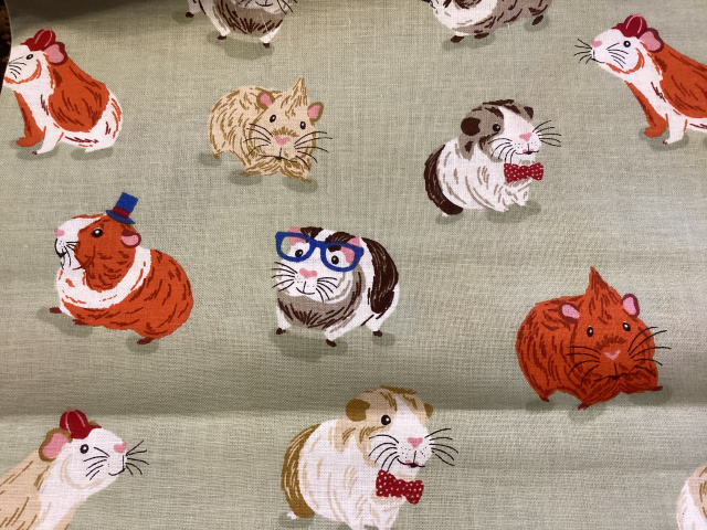 Multi colored Guinea pigs in hats, bow ties and glasses on light sage