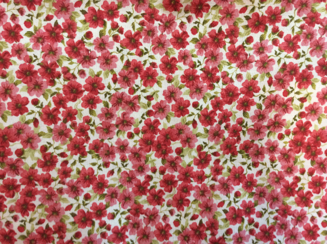 Small red five petal flowers with green leaves on a white background