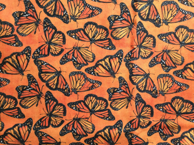 Monarch butterflies on orange 