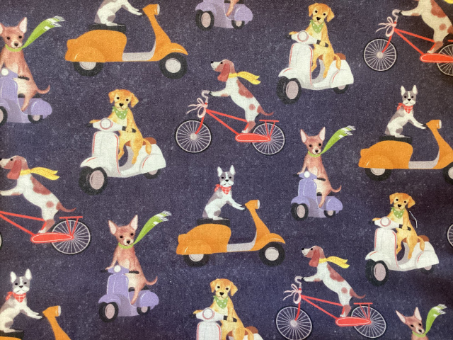 Labs, beagles, chihuahuas, and missed breeds ride scooters and bikes on dark blue