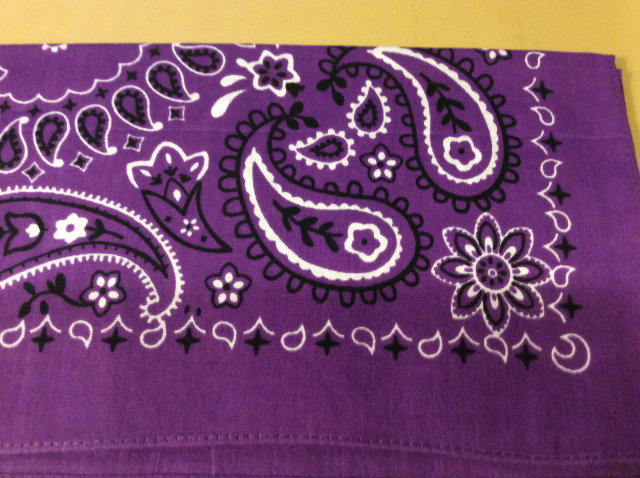 Bandana - Purple