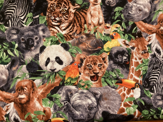 Orangutan, tiger, panda, parrot, rhino zebra, elephant, toucan, gorilla, bear, meerkat, lion, giraff