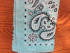 Bandana in mint
