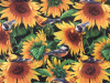Sunflowers & Birds - 8" round