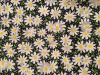 Daisies on Black - 8" round