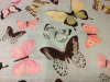 Butterflies on Soft Green 2018 - 8" round