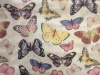 Butterflies on Cream 2018 - 8" round
